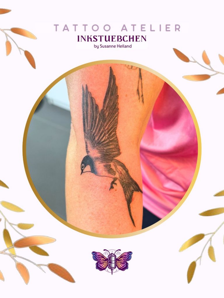 117_20251006_154329_0004